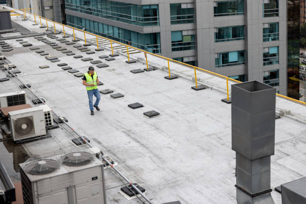 Best Roof Maintenance and Cleaning  in Bon Secour, AL
